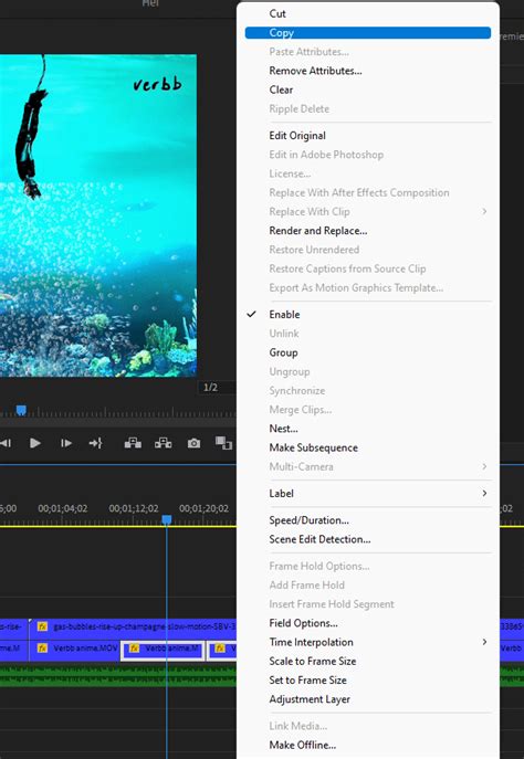 adobe premiere pro duplicate clip.